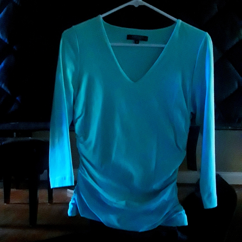NWT Karen Kane Sexy blue v-neck side ruching top.